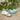#vælg-farve_lysebl