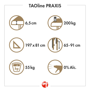 Stationær massagebriks Praxis fra Welltouch