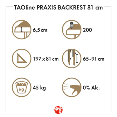 Stationær massagebriks Praxis Backrest fra Welltouch